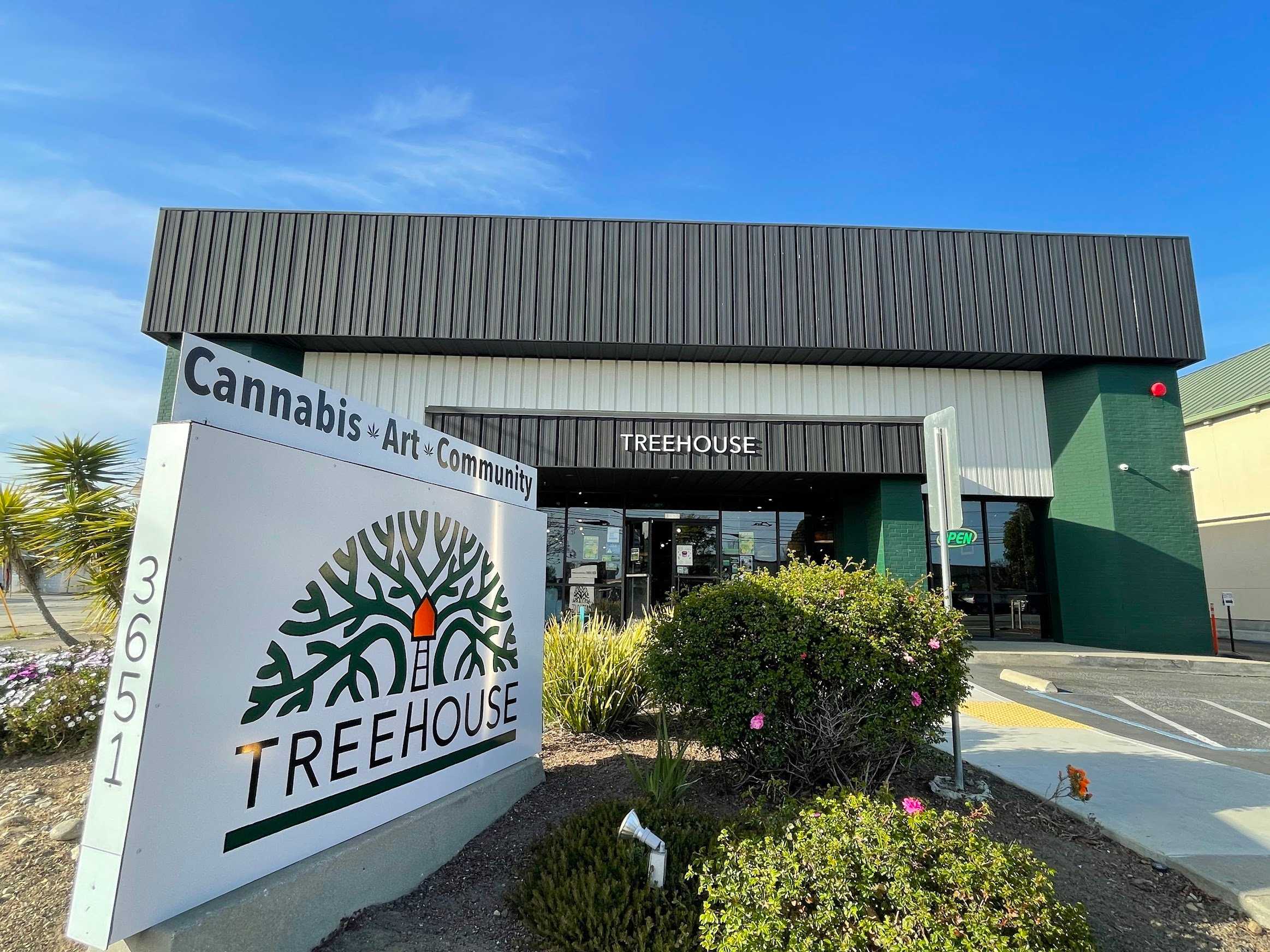 THCA Day at Treehouse!